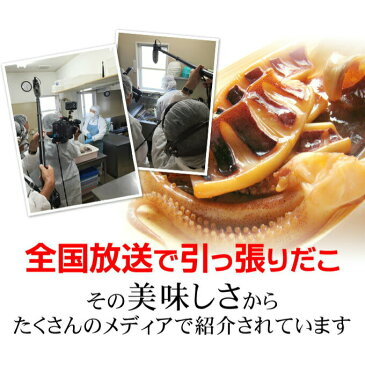 【送料無料】イカ焼きいかのふっくら焼2袋 日本海で水揚げされた国産いか。酒の肴(つまみ)に。海産物を贈り物(プレゼント)に海の幸。海鮮、魚介の美味しい食べ物【あす楽】【誕生日 贈り物 プレゼント】