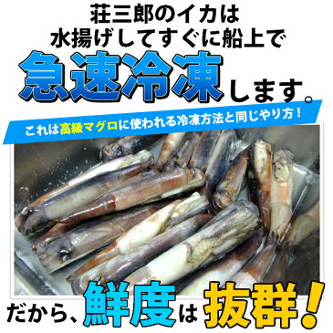 辛いは美味い！イカキムチ60gいかは荘三郎海鮮、魚介の美味しい食べ物【福袋】【あす楽】【贈り物 プレゼント 誕生日 手土産 一人暮らし 花以外 ギフト】