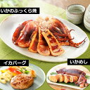 【母の日ギフト】石川県 能登 応援【いかのふっくら焼】【いかめし】【イカバーグ】国産いかのイカ焼き 日本海で水揚げされた海産物を贈り物(プレゼント) 海鮮、魚介...