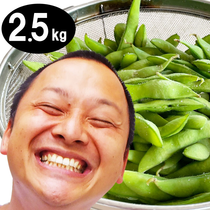 【15時迄即日発送】新潟 朝採り手摘み枝豆(えだまめ) 黒埼茶豆 2.5キロ 送料無料 6,980円 新潟 直送 えだまめ 一人暮らし 誕生日 暑中見舞い 残暑見舞い お取り寄せグルメ イカ屋荘三郎のサムネイル