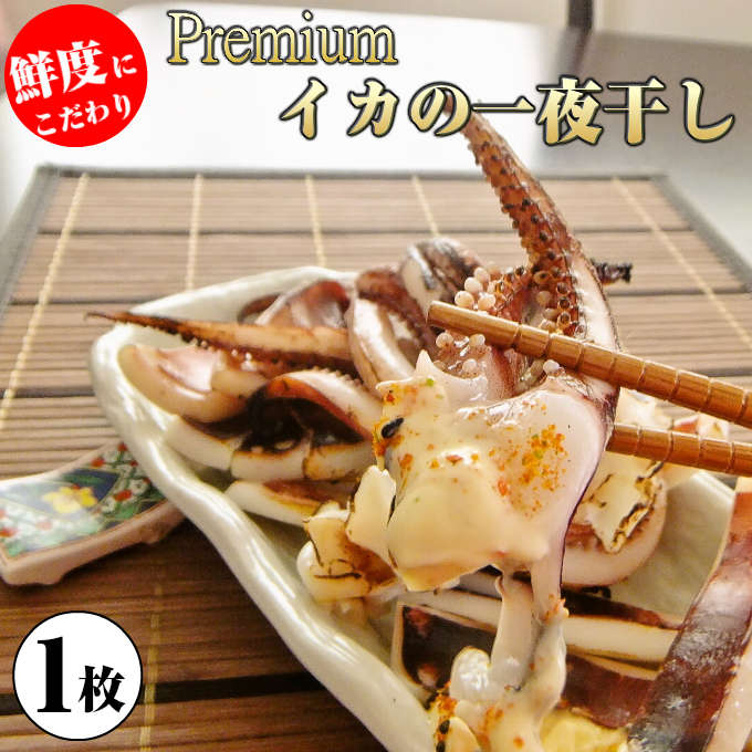 【バレンタイン包装できます】プレミアムサイズ!イカの一夜干し1枚晩酌のおつまみに日本海で水揚げされた国産いか。海産物を贈り物(プレゼント)に。海の幸。石川・能登のスルメイカ。海鮮、魚介【あす楽 贈り物 誕生日 手土産】チョコ以外