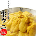 料亭やお寿司屋さんプロが認めた雲丹！【冷凍 生ウニ 100g】 1,780円日にち・時間指定OK！【あす楽】雲丹 うに ウニ海鮮、魚介【贈り物 プレゼント 誕生日 手土産 一人暮らし ギフト】