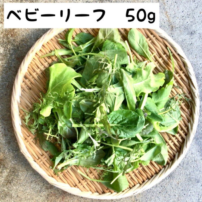 ベビーリーフ　50g パック　京都　西日本　八百屋　アネックス　夏野菜　旬のお野菜　サラダ　有機　オーガニック　無農薬　無農薬野菜　無農薬サラダ　洗わず　食べれる　えらべる　まとめ買い　宅配