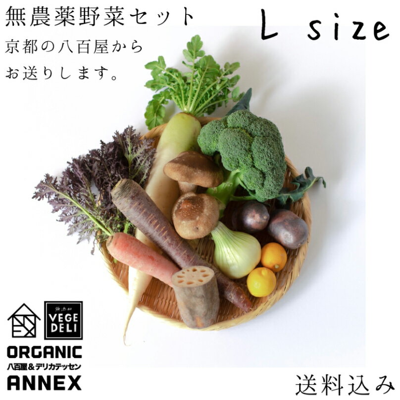 季節の無農薬野菜セット L size [10〜1