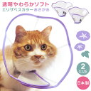 猫用エリザベスカラーあさがお 日本製 透明 やわらか ソフト おしゃれ 猫用 エリザベスカラーネコ ねこ 防水 透明やわらか ソフト素材 ソフトエリザベスカラー 軽量 手術後ケア ペット用 介護用品 傷舐め防止 噛む防止 ペット介護用品 アサガオ 朝顔【SOVIE DECO】