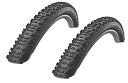 2本セット SCHWALBE Racing Ralph TLR Addix Performance Line MTB 27.5x2.25(57-584