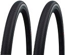 2本セット SCHWALBE(シュワルベ) G-ONE ALLROUND 700c チューブレスイージー(TLE) Performance Line ADDIX...
