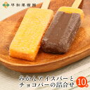 アイスキャンディー 送料込み みかんアイスバーとチョコバー詰合せ10本入り アイスバー チョコ 有田みかん 高級 フルーツ アイス 和歌山 お取り寄せ 早和果樹園