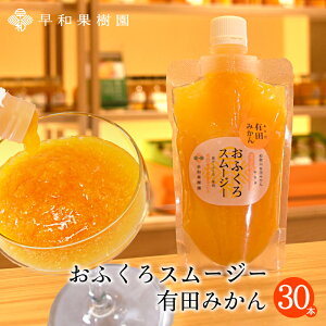 飲むゼリー おふくろスムージー有田みかん 170g×30本入 【送料無料】 みかんスムージー ゼリー飲料 フルーツ 有田のみかん ゼリー 和歌山 シャーベットにも 早和果樹園