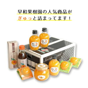 【送料無料】朝のみかんセット(N)