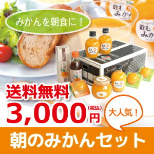 【送料無料】朝のみかんセット(N)商品画像