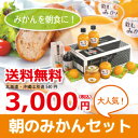 早和果樹園 朝のみかんセット【N】 ● ギフト 送料無料 寒天 ゼリー みかんジュース こだわり 御祝 内祝