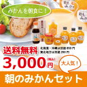 【N】朝のみかんセット ギフト 送料無料 ゼリー みかんジュース スムージー 内祝 スイーツ セット