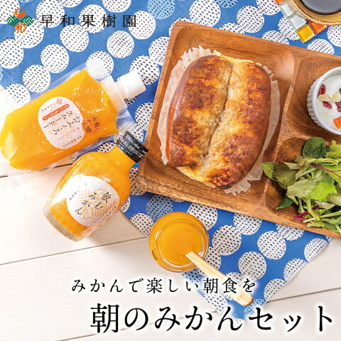 詰め合わせ ギフト ゼリー 朝のみかんセットN 送料無料 ゼリー みかんジュース スムージー 内祝い スイーツ セット 有田みかん 和歌山県 早和果樹園 産地直送