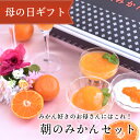 まだ間に合う 母の日 プレゼント スイーツ 花 以外 実用的 70代 母の日 詰め合わせ ギフト セット 送料無料 ゼリー 内祝い お返し 手土産 健康 みかん...
