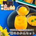 遅れてごめんね 母の日 父の日 プレゼント スイーツ 実用的 お中元 詰め合わせ ギフト セット 送料無料 ゼリー 内祝い お返し 手土産 健康 みかんジュース...