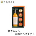 ジュース ギフト 贈り物 送料無料 詰め合わせ 飲むみかん詰め合わせギフト 内祝い みかんゼリー ゼリー ジャム みかんジュース 無添加 御祝 お見舞い 有田みかん 和歌山県 早和果樹園