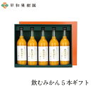 ジュース ギフト 贈り物 ジュース 無添加 ストレート 送料無料 お取り寄せ 早和果樹園 飲むみかん5本入りギフト 内祝い みかんジュース 御祝 お見舞 有田みかん 和歌山県