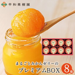 高級ゼリー 母の日 ゼリー ギフト みかんゼリー 詰め合わせ ゼリー 送料無料 御供 内祝 洋菓子 手土産 贈り物 プレゼント 出産祝い 内祝い まるごと みかん スイーツ プレミアムBOX＜8個入＞ 有田みかん 早和果樹園 贈答用 お返し お取り寄せ