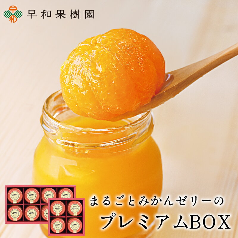 お歳暮 ギフト みかん ゼリー ギフト 高級 みかん まるごと ゼリー 高級 プレゼント みかんゼリー フルーツ ギフト 手土産 お取り寄せ スイーツ 誕生日 プレミアムBOX 送料無料 女性 贈り物 出産祝い 内祝い お供え物 お見舞 かわいい 有田みかん 和歌山 早和果樹園 3000円台