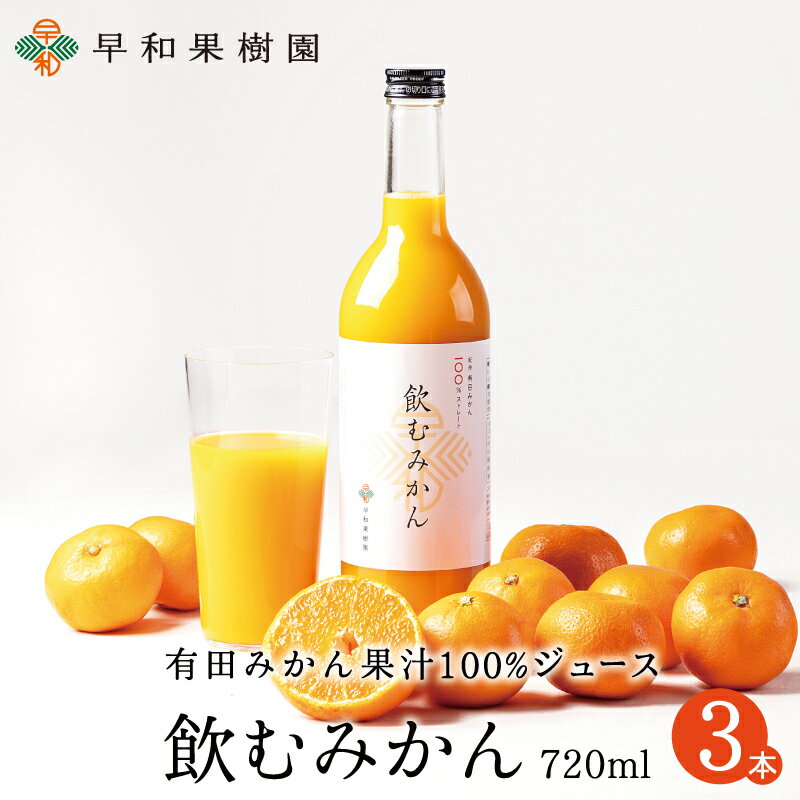 みかんジュース ストレート 飲むみかん 720ml×3本W 和歌山 果汁100 ジュース 有田 温州みかん 無添加 早和果樹園 ピーチ