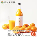 みかんジュース ストレート 飲むみかん 720ml×6本W 和歌山 果汁100% ジュース 有田 温州みかん 無添加 早和果樹園 ピーチ