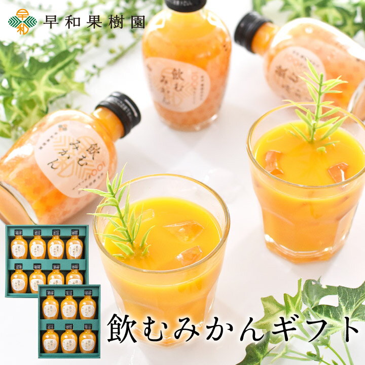 お歳暮 ギフト ジュース 詰め合わせ みかんジュース ギフト みかん ジュース フルーツジュース 無添加果汁100% 内祝い お返し 手土産 飲むみかんギフトR ストレート 手土産 子供 ドリンク セット 和歌山 有田 早和果樹園 内祝い 御供え 3000円台 お見舞い オレンジジュース