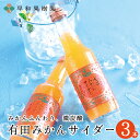 みかんサイダー 3本入り 炭酸飲料 cider sodapop 特産品 お土産 手土産 ご当地 サイダー 和歌山 贈り物 お中元 お歳暮 ご挨拶 有田みかん 香...
