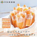 お中元 夏ギフト 飲むゼリー ギフト 詰め合わせ みかんゼリー 子ども プレゼント 差し入れ スムージー おふくろスムージーバラエティ10本ギフト 送料無料 みかんスムージー ゆず レモン 橙 シャーベット 和歌山 有田 温州みかん 内祝い 御祝