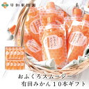 楽天紀州 有田みかん 早和果樹園飲むゼリー ギフト 子ども プレゼント スムージー パウチ おふくろスムージー有田みかん10本ギフト 送料無料 みかんスムージー 飲むゼリー シャーベット 和歌山 有田 温州みかん 内祝い 御祝