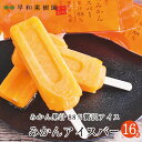 送料無料 アイスキャンディー みかんアイスバー 16本入りN 高級フルーツアイス お取り寄せ【めざましどようび紹介】早和果樹園 ノンストップ バナナマン 設楽統...