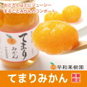 早和果樹園 てまりみかん350g×3個入り 【数量限定】【RCP】 - 早和果樹園楽天市場店