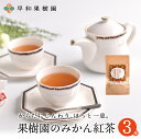 紅茶 ティーバッグ 果樹園のみかん紅茶 7包入×3個セット 国産 健康 みかんの皮 有田みかん 有田みかんの皮 無添加 フルーツティー 無着色 メール便 送料無料 早和果樹園