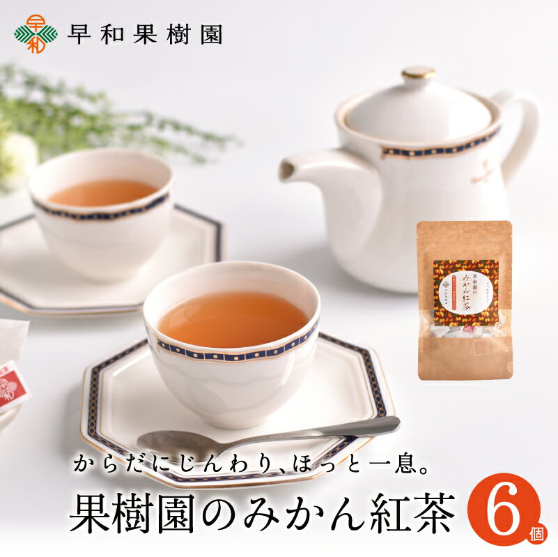 紅茶 ティーバッグ 果樹園のみかん紅茶 7包入×6個セット 国産 健康 みかんの皮 有田みかん 有田みかんの皮 無添加 フルーツティー 無着色 メール便 送料無料 早和果樹園