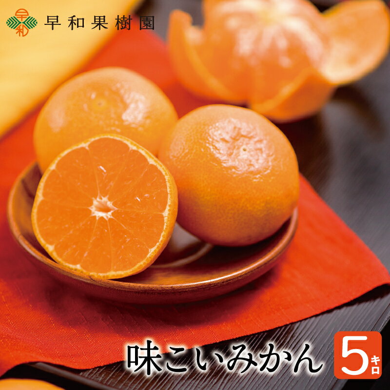 みかん 有田みかん お歳暮 味こいみかん 5kg 送料無料 和歌山県 産地直送 早和果樹園