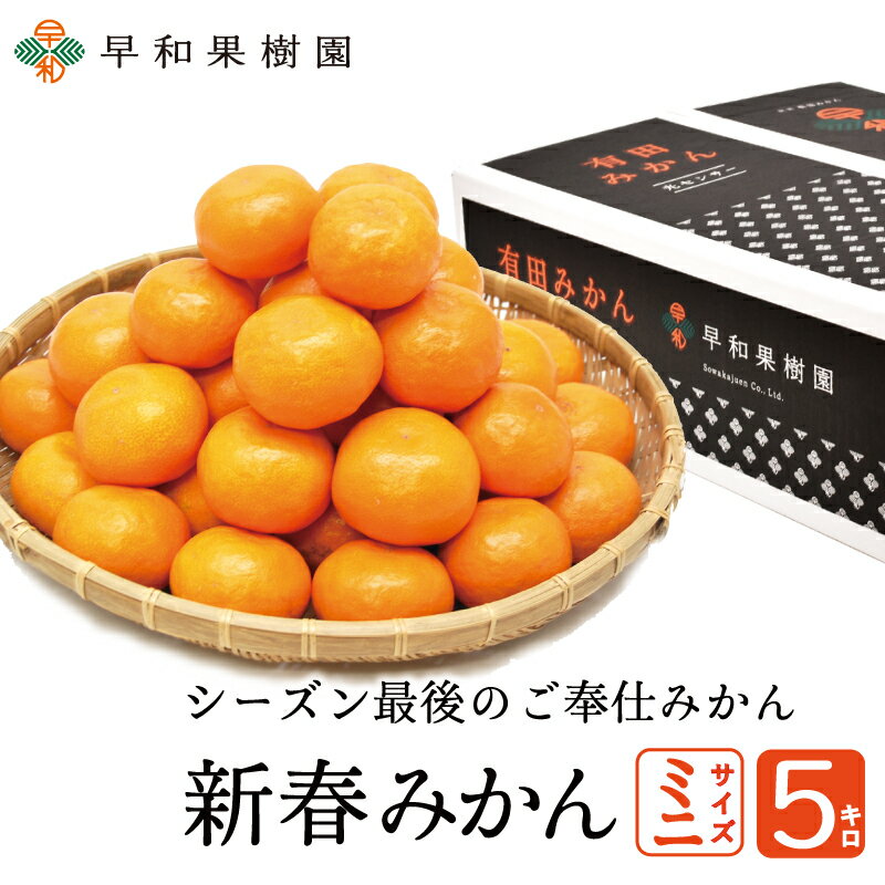 みかん 有田みかん 新春みかんミニ5kg 送料無料 有田みかん 訳ありみかん 有田 和歌山のサムネイル