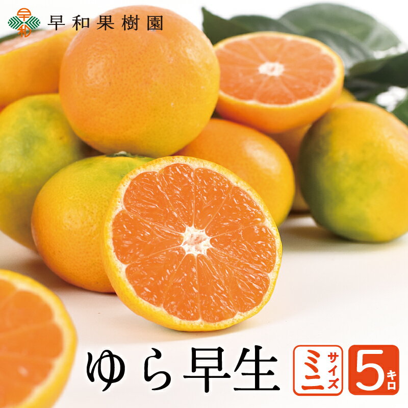 ゆら早生みかん ミニサイズ 5kg 送料無料 小玉 箱 国産 予約 極早生 有田みかん 温州みかん 産地直送 和歌山県 子供 家庭用 果物 フルーツ 秋 果物のサムネイル