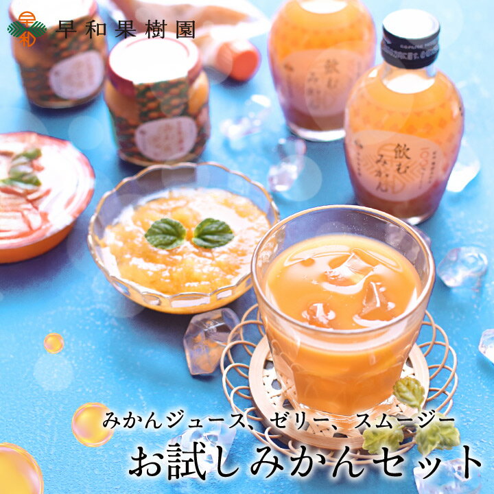 みかん ジュース ゼリー スイーツ 早和果樹園 お試しみかんセット 人気 詰め合わせ 4種類 みかんジュース スムージー ドライフルーツ 国産 お菓子 子供 お試しみかんセット(N) チョッパーパルパー テレビ放送 有田みかん ジュース 飲むみかん 送料無料