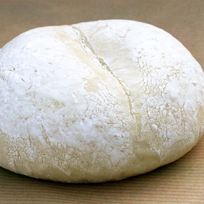 白パン カスタード パン 無添加 安心 美味しい 冷凍パン 菓子パン 手作り 調理 惣菜パン ギフト のし 簡単解凍 詰め合わせ