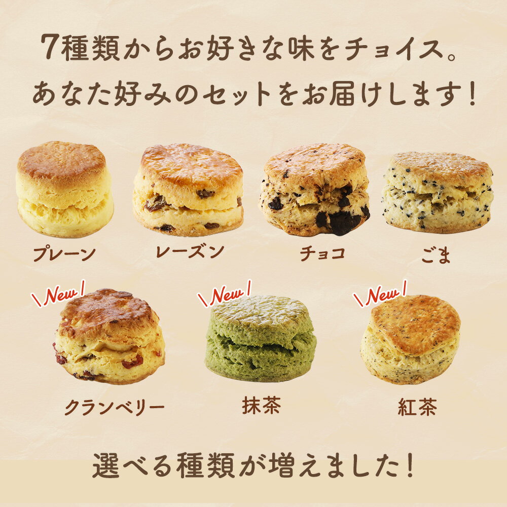 ����˥塼������ڤ����ߥ�������10�ĥ��åȡ�����̵�� ��2023ǯ7���١����ͥ�ɥ���å׼��ޡ���ɾ����ӥ塼���ʡ� �����Ǻ�������˻Ȥä�Le Vent���������Υ�������7���फ��10�����٤ޤ��� ���� �¿� ���� �Ƥ��ۻ� ���ۻ� ���� ��¢ £��ʪ ���ե� ���渵 ������