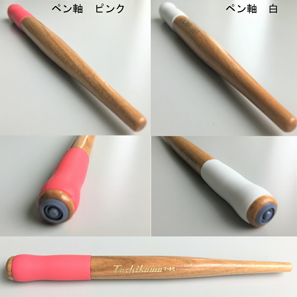 ペン マンガ アニメ さじペン 丸ペン Gペン コミックペン 漫画 まんが Pen ぺん Takeda N ケース付き 多彩なペン ペン先を保護するケース付き ペン先を付属 3種類のペン先が付属 最安 コミック 漫画用ペンセット 初心者 おすすめ