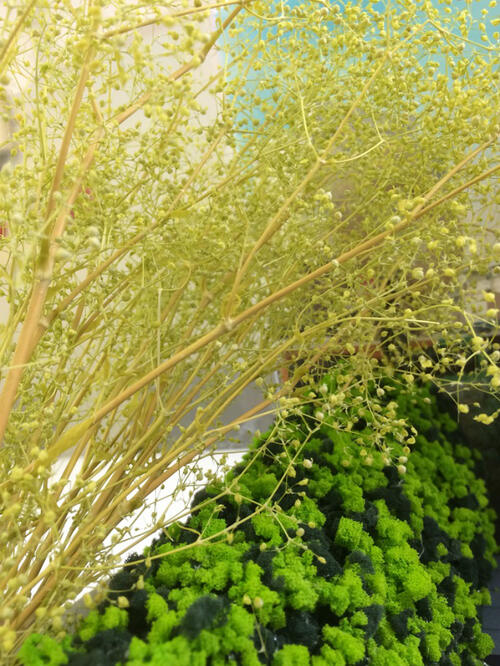 最大 オフ Takeda タケダ かすみ草 カスミソウ 大束 グリーン エンジェルグリーン ホワイト カスミ草 草 ドライフラワー 建築模型 テラリウムのアクセント アート ジオラマ 工作 鉄道模型 かすみ 樹木 草原 花壇 緑地 インテリア工作 模型 材料 インテリア 領収書