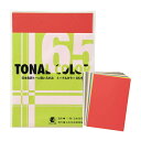 ト−ナルカラ− 65色 B5 日本色研 いろがみ 色紙 カラーペーパー トーナルカラー トーン別 色彩教育 デザイン演習 工作用紙 B5...