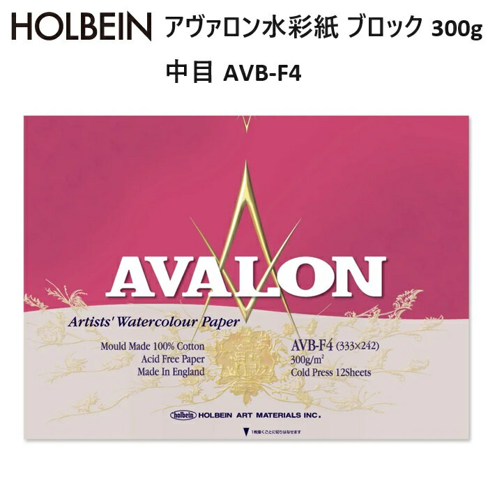 �ۥ�٥��� �����������̻� �֥��å� 300g ���� AVB-F4