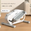 ステッパー × ミニバイク エアロバイク 【1台2役】電源不要【 立ち&座り】静音 ウォーキング 有酸素運動 フィットネス 室内 運動