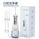 口腔洗浄器 口内洗浄機 水流 歯間ジェット洗浄 口腔ケア 歯周病予防 歯間清掃 USB充電式 家庭 旅行 に便利