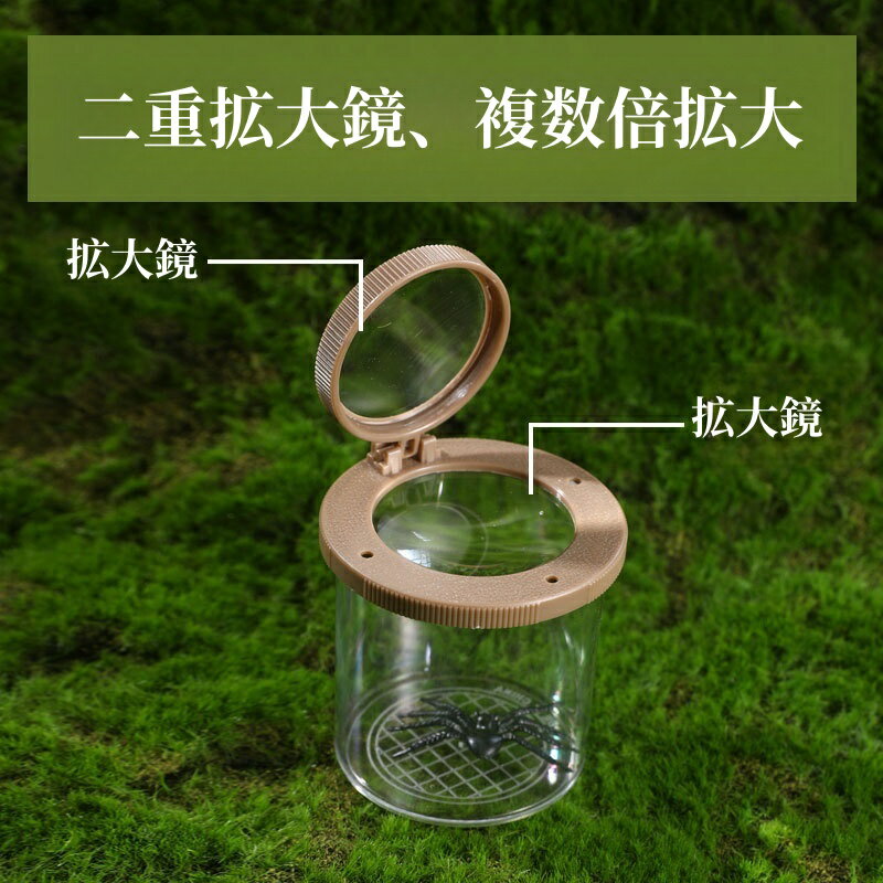 【昆虫採集5点セット】虫かご 昆虫ケース 飼育ケース 昆虫 観察 むしとり 昆虫ケー...