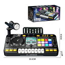 多機能Bluetooth DJターンテーブルシミュレーション、子供初心者向けの演奏可能な楽器、マイク付き知育おもちゃ 女の子 男の子 子供 充電式 誕生日 実用...