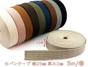 あす楽 PPバンド 手芸 手芸用PPバンド プラカゴ バッグ 手芸バンド 15mm 15mm×100m 標準色 信越工業 年中無休発送