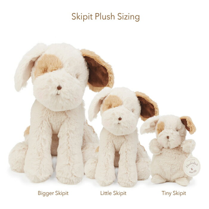 �Хˡ����Х����٥� bunniesbythebay The Puppy Little ���Τ̤�����ߡʾ��ˡʽл��ˤ� �٥ӡ� �֤���� ������ ���λ� �ˤλ� ���ե� �ץ쥼��ȡ��������̡��ɥå���dog��